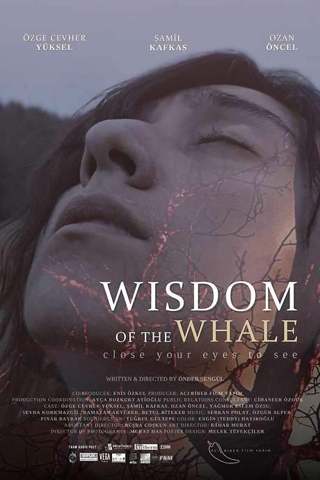 Wisdom of the Whale